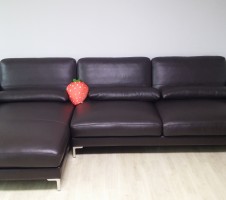 20151021_124648.jpg