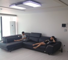 fenda02.jpg