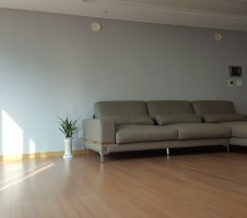 20160710_074859.jpg