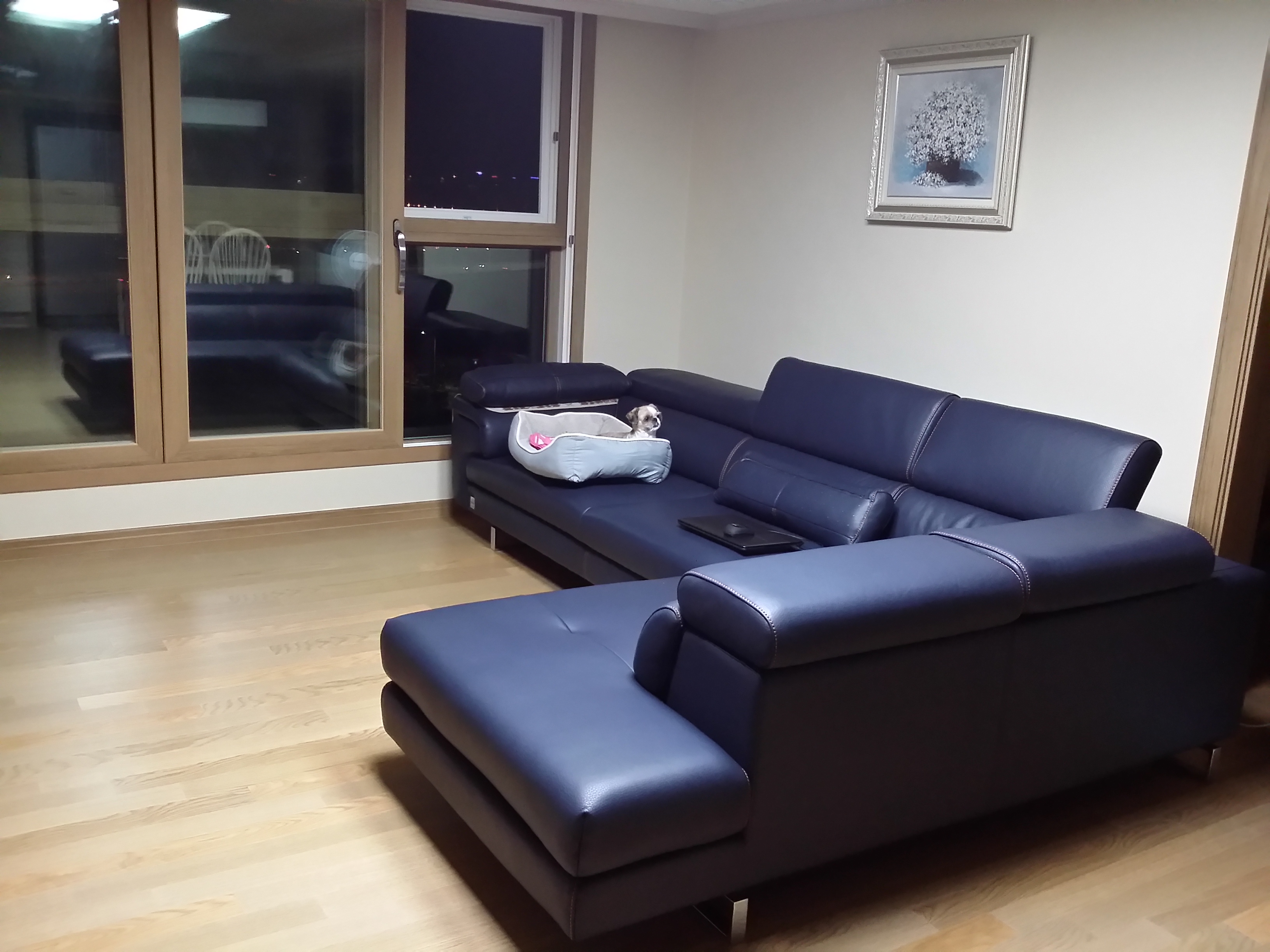 20160724_211512.jpg